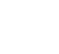 bsi
